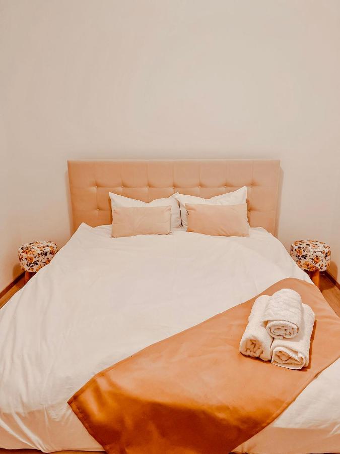 טימישוארה Lovely Apartment In A Quiet Area - Spitalul Judetean L5 מראה חיצוני תמונה